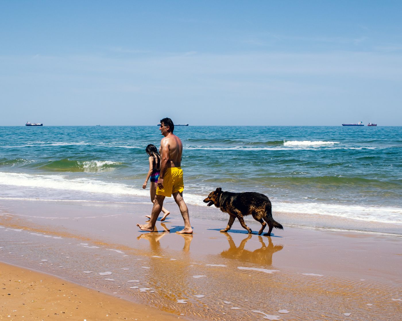 A family and their dog spending time together at the beach